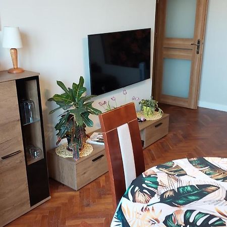 Zeromskiego Apartment - 华沙 外观 照片